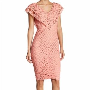 Champagne & Strawberry Dress